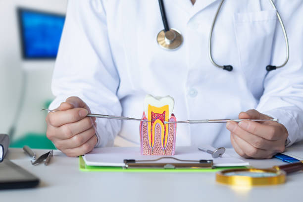 Best Broken or Cracked Tooth Emergency Dentist in East End, AR